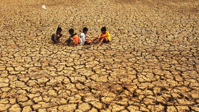 El Nino 2023: Dampak Kekeringan dan Perubahan Iklim