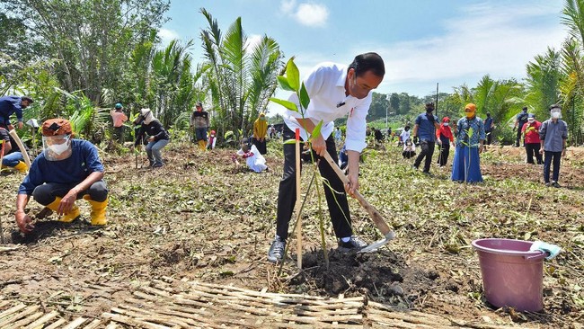 Krisis Iklim dan Dampaknya di Indonesia