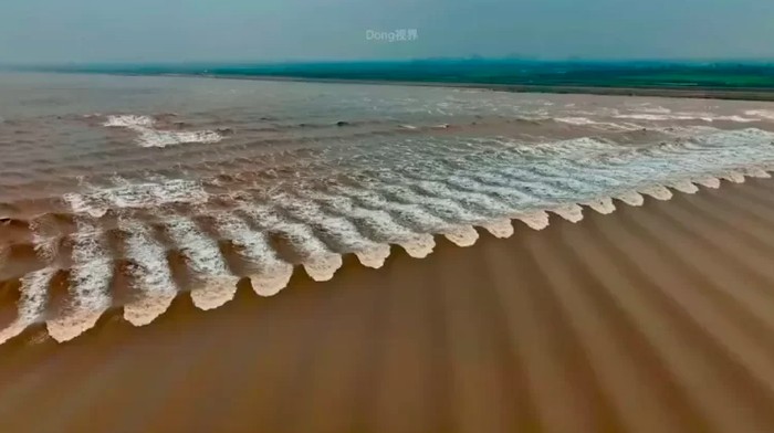 Fenomena Alam Unik: Gelombang Sisik Ikan di Sungai Qiantang, China