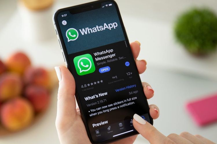 Fitur Baru WhatsApp: Login Akun via E-mail